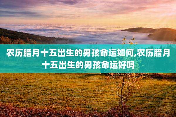 农历腊月十五出生的男孩命运如何,农历腊月十五出生的男孩命运好吗