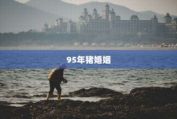 95年猪婚姻