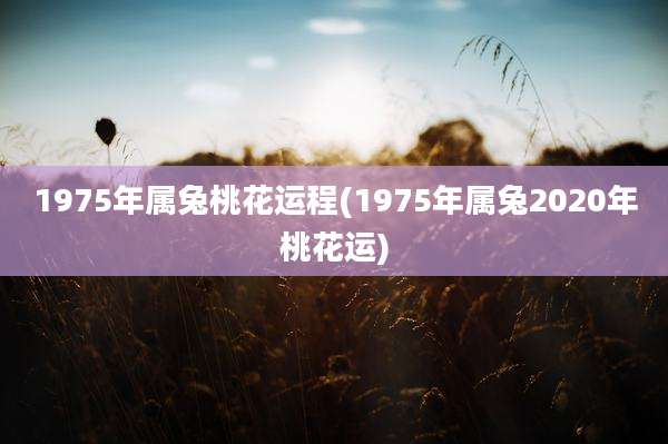 1975年属兔桃花运程(1975年属兔2020年桃花运)