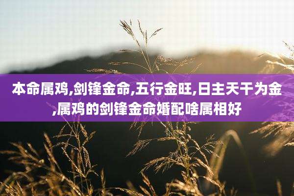 本命属鸡,剑锋金命,五行金旺,日主天干为金,属鸡的剑锋金命婚配啥属相好