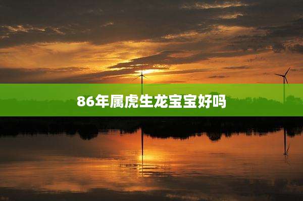 86年属虎生龙宝宝好吗
