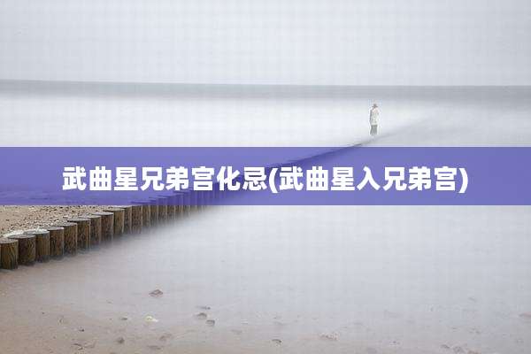 武曲星兄弟宫化忌(武曲星入兄弟宫)