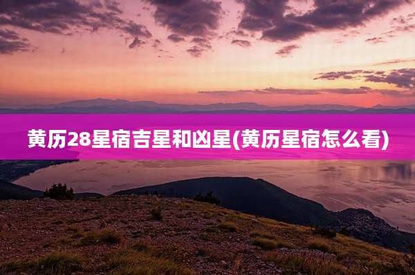 黄历28星宿吉星和凶星(黄历星宿怎么看)
