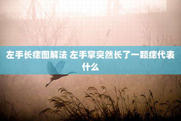左手长痣图解法 左手掌突然长了一颗痣代表什么