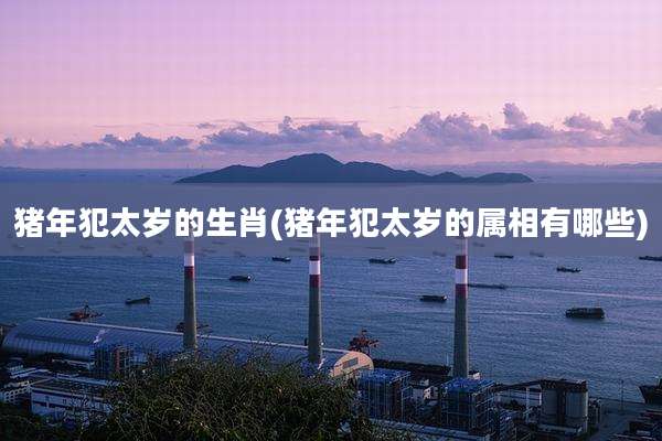猪年犯太岁的生肖(猪年犯太岁的属相有哪些)