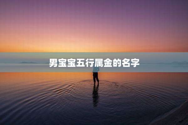 男宝宝五行属金的名字