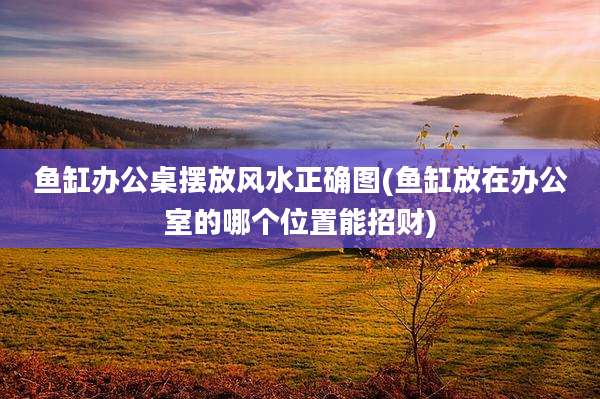 鱼缸办公桌摆放风水正确图(鱼缸放在办公室的哪个位置能招财)
