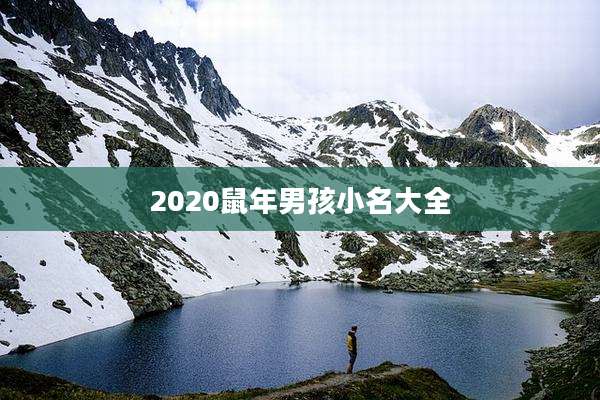 2020鼠年男孩小名大全