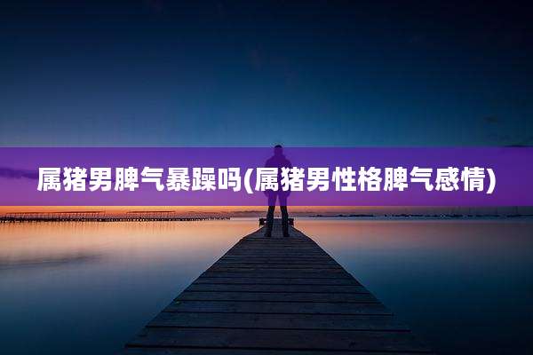 属猪男脾气暴躁吗(属猪男性格脾气感情)