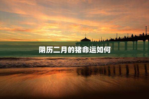 阴历二月的猪命运如何