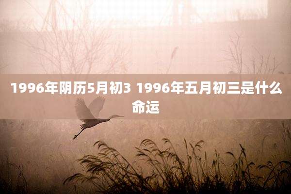 1996年阴历5月初3 1996年五月初三是什么命运