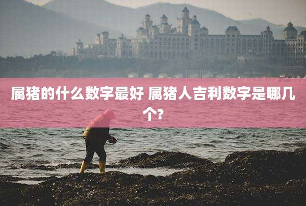 属猪的什么数字最好 属猪人吉利数字是哪几个?