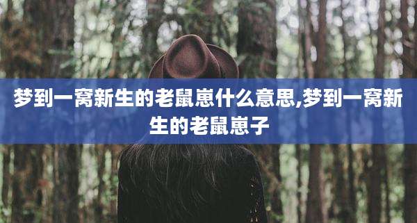 梦到一窝新生的老鼠崽什么意思,梦到一窝新生的老鼠崽子