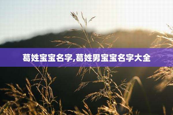 葛姓宝宝名字,葛姓男宝宝名字大全