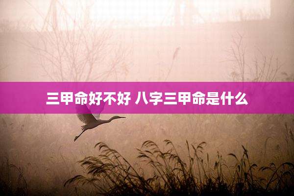 三甲命好不好 八字三甲命是什么