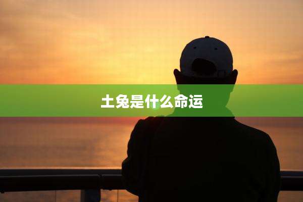土兔是什么命运