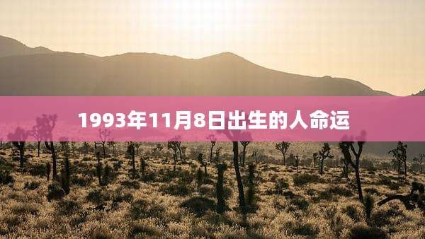 1993年11月8日出生的人命运