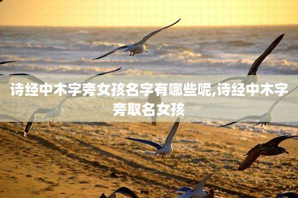 诗经中木字旁女孩名字有哪些呢,诗经中木字旁取名女孩