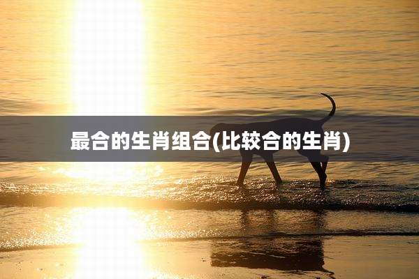 最合的生肖组合(比较合的生肖)