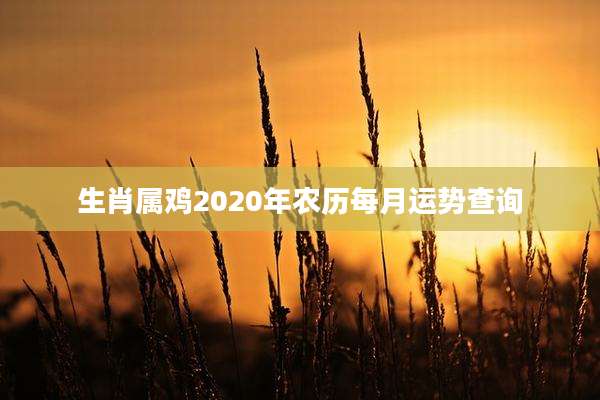 生肖属鸡2020年农历每月运势查询