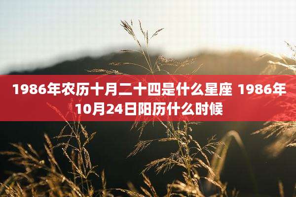 1986年农历十月二十四是什么星座 1986年10月24日阳历什么时候