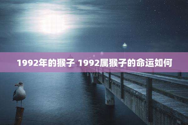 1992年的猴子 1992属猴子的命运如何