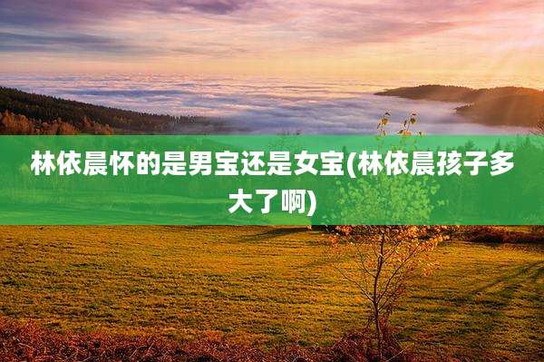 林依晨怀的是男宝还是女宝(林依晨孩子多大了啊)