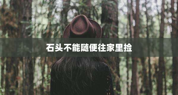 石头不能随便往家里捡