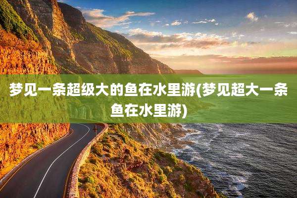 梦见一条超级大的鱼在水里游(梦见超大一条鱼在水里游)