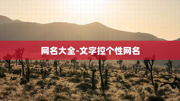 网名大全-文字控个性网名