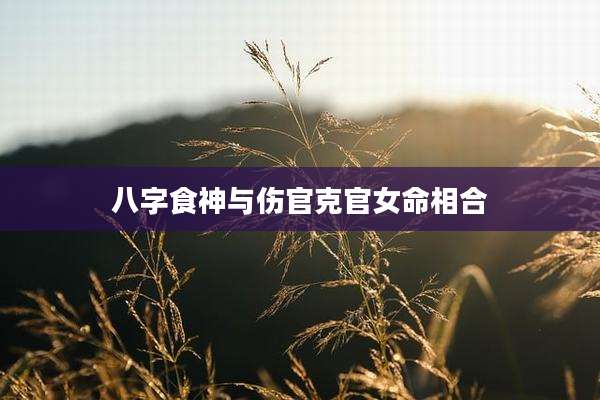 八字食神与伤官克官女命相合