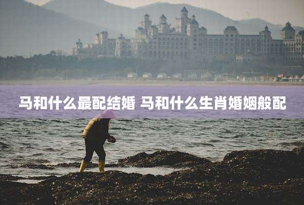 马和什么最配结婚 马和什么生肖婚姻般配