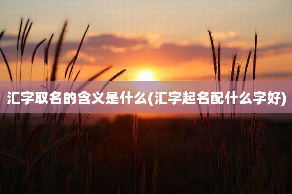 汇字取名的含义是什么(汇字起名配什么字好)
