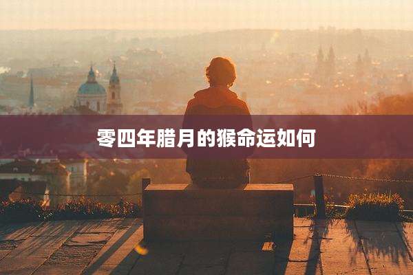 零四年腊月的猴命运如何