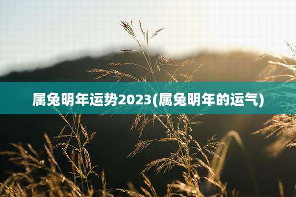 属兔明年运势2023(属兔明年的运气)