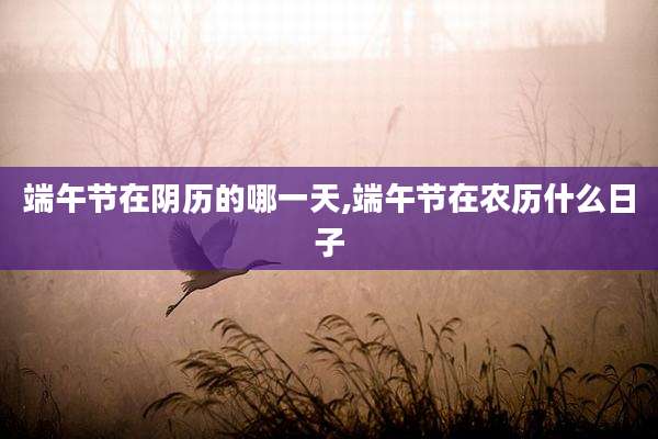 端午节在阴历的哪一天,端午节在农历什么日子