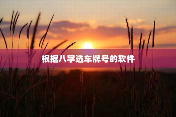 根据八字选车牌号的软件