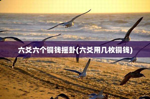 六爻六个铜钱摇卦(六爻用几枚铜钱)