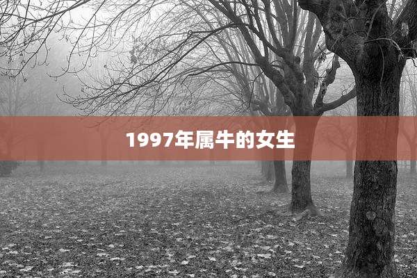1997年属牛的女生