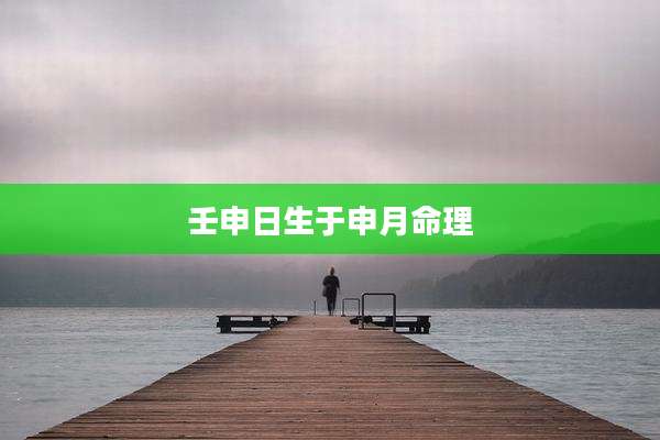 壬申日生于申月命理