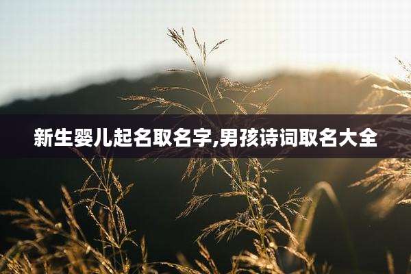 新生婴儿起名取名字,男孩诗词取名大全