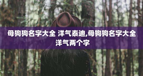 母狗狗名字大全 洋气泰迪,母狗狗名字大全 洋气两个字
