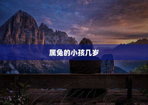 属兔的小孩几岁