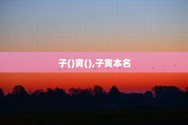 子()寅(),子寅本名