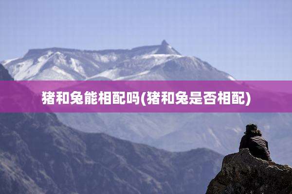 猪和兔能相配吗(猪和兔是否相配)