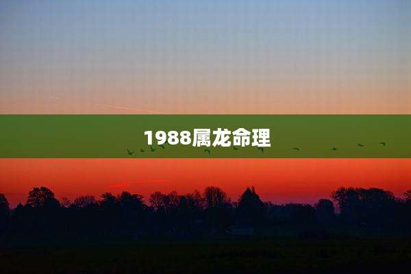 1988属龙命理