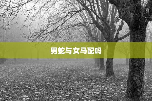 男蛇与女马配吗