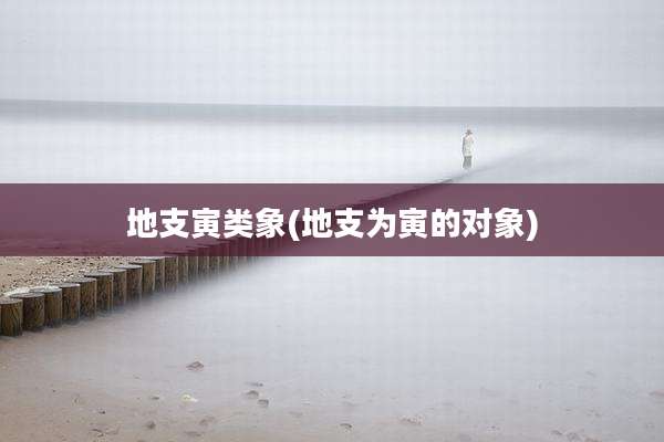 地支寅类象(地支为寅的对象)