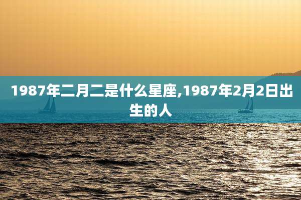 1987年二月二是什么星座,1987年2月2日出生的人