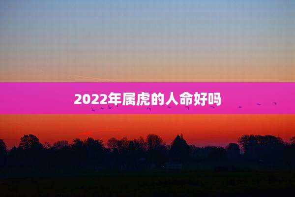 2022年属虎的人命好吗